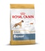 ROYAL CANIN BHN Large Breed Boxer Adult 12kg HundetrockenfutterBild