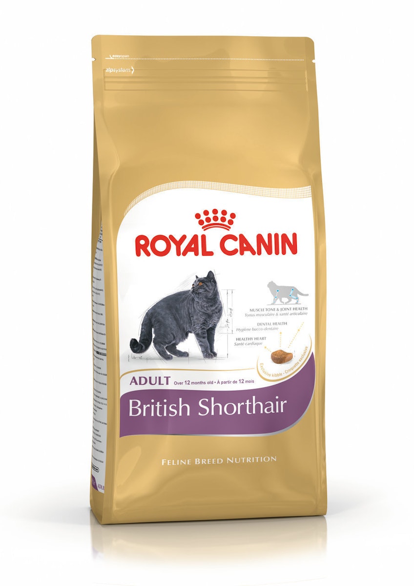 ROYAL CANIN FBN British Shorthair Adult Katzentrockenfutter 4 Kilogramm