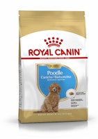 ROYAL CANIN Poodle Puppy 3kg