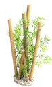 Vorschaubild Sydeco Bamboo XL 38 Zentimeter Aquariendekoration