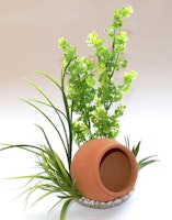 Sydeco Jar Plant 35 Zentimeter Aquariendekoration