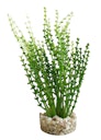 Vorschaubild Sydeco Aqua Nano Moss 8 Zentimeter Aquariendekoration