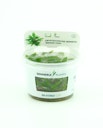 Vorschaubild Cryptocoryne wendtii 'Broad Leaf' In-Vitro