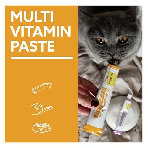 Gimpet Cat Multi-Vitamin 200g
