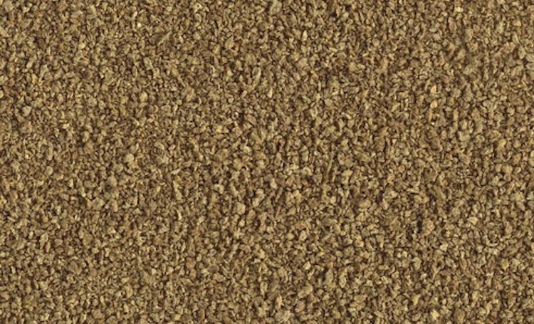 Tetra Delica 100ml