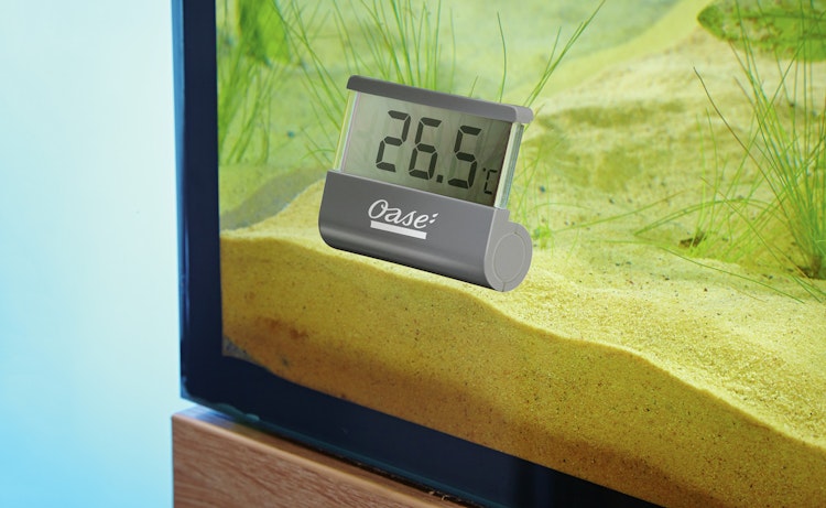 Oase Digitales Thermometer Mess- und Regeltechnik
