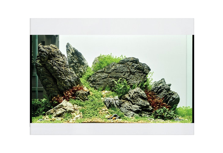 Oase StyleLine Modell 125 Aquarium
