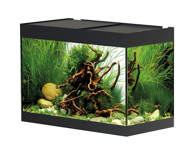 Oase StyleLine Modell 125 Aquarium