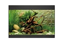 Vorschaubild Oase StyleLine Modell 125 Aquarium