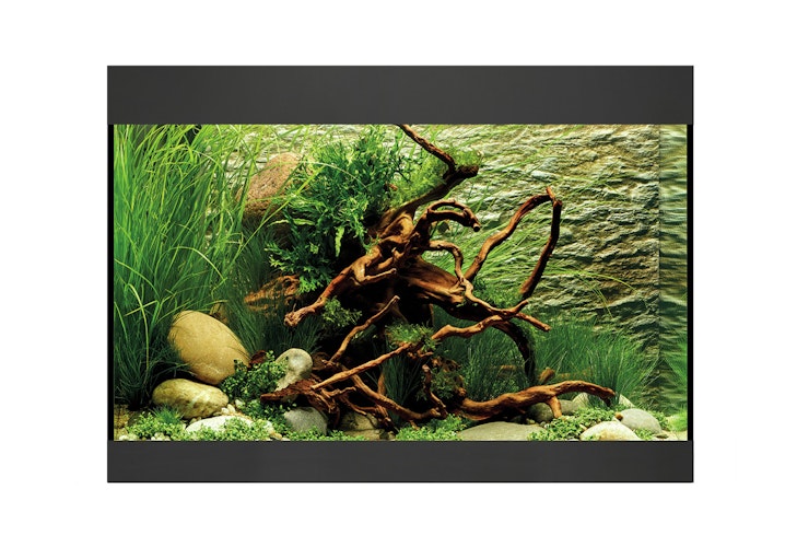 Oase StyleLine Modell 125 Aquarium
