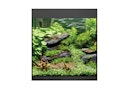 Vorschaubild Oase StyleLine Modell 85 Aquarium