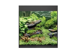 Oase StyleLine Modell 85 Aquarium