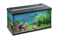 EHEIM aquastar 54 LED Aquarium-Set