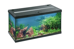 EHEIM aquastar 54 LED Aquarium-Set