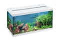 EHEIM aquastar 54 LED Aquarium-Set