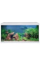 EHEIM aquastar 54 LED Aquarium-Set
