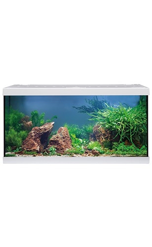 EHEIM aquastar 54 LED Aquarium-Set