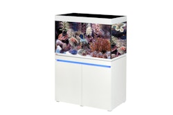 EHEIM incpiria marine 330 LED Meerwasser-Aquarium mit Unterschrank