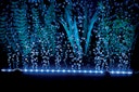 Vorschaubild HOBBY Bubble Air LED colour & moon Aquarienbeleuchtung