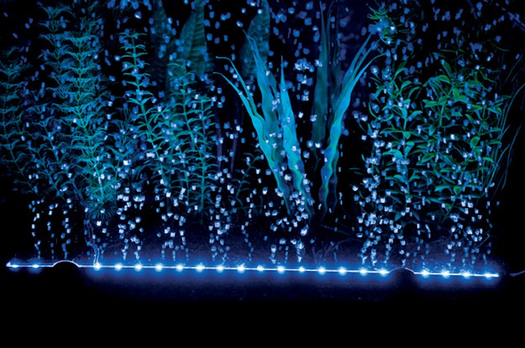 HOBBY Bubble Air LED colour & moon Aquarienbeleuchtung