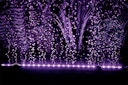 Vorschaubild HOBBY Bubble Air LED colour & moon Aquarienbeleuchtung