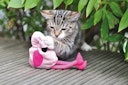 Vorschaubild Aumüller Flamingo Pinky Baldrian-/ Dinkelkatzenspielkissen