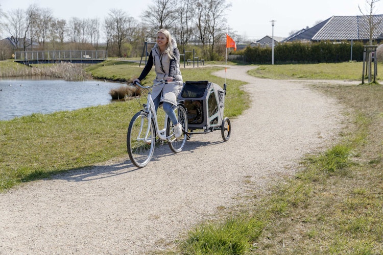 TRIXIE -Fahrrad-Anhänger L