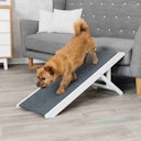 TRIXIE Hunde-Rampe höhenverstellbar 36x90cm weiß