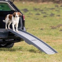 TRIXIE Hunde-Rampe 3-fach klappbar Kunststoff 39x150cm grau