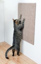 TRIXIE Kratzbrett XL 50x70cm taupe