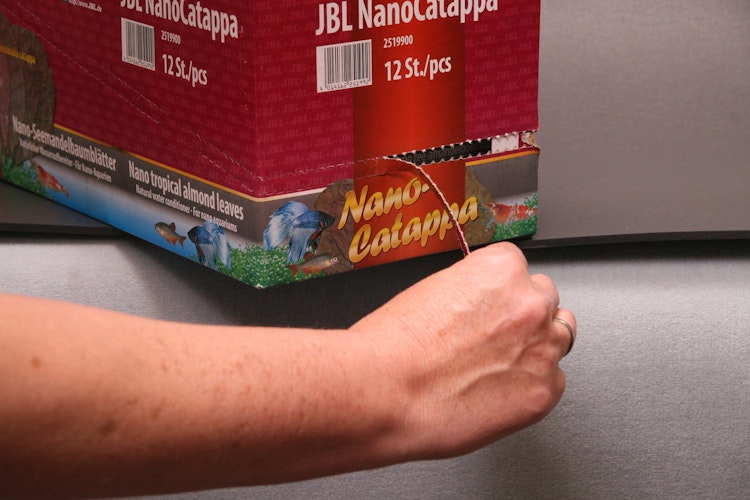 JBL Nano-Catappa