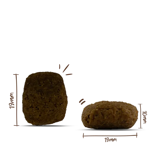 Bosch MENUE Adultt Rind und Innereien 1kg  Bild