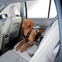 Vorschaubild HUNTER Easy Comfort schwarz Hundegeschirr