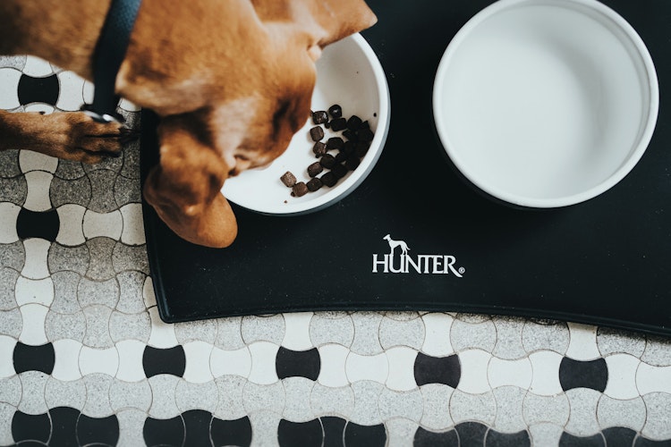 HUNTER Napfunterlage SELECTION
