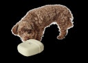 Vorschaubild HUNTER Silikon Snackbeutel Lugo beige Hundetraining