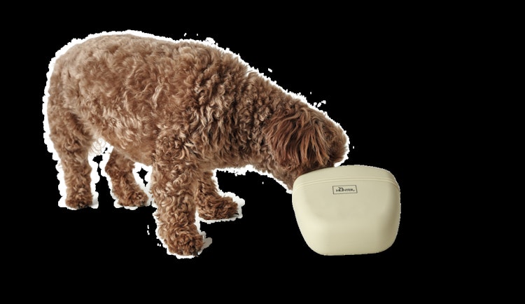 HUNTER Silikon Snackbeutel Lugo beige Hundetraining