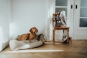 Vorschaubild HUNTER Ecksofa Livingston beige Hundeschlafplatz
