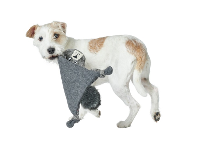 HUNTER Billund Bär flach grau Hundespielzeug