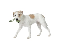 HUNTER Ball mit Schlaufe Inari lindgrün Hundespielzeug