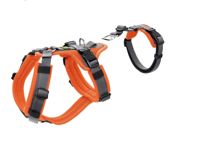 Hunter Geschirr Sicherheit Maldon orange Hundegeschirr