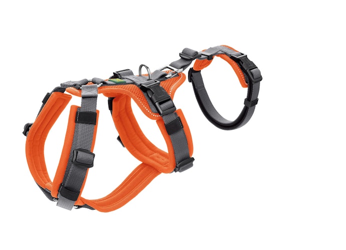 Hunter Geschirr Sicherheit Maldon orange Hundegeschirr