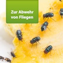 Vorschaubild ARDAP Repell Fliegenspray