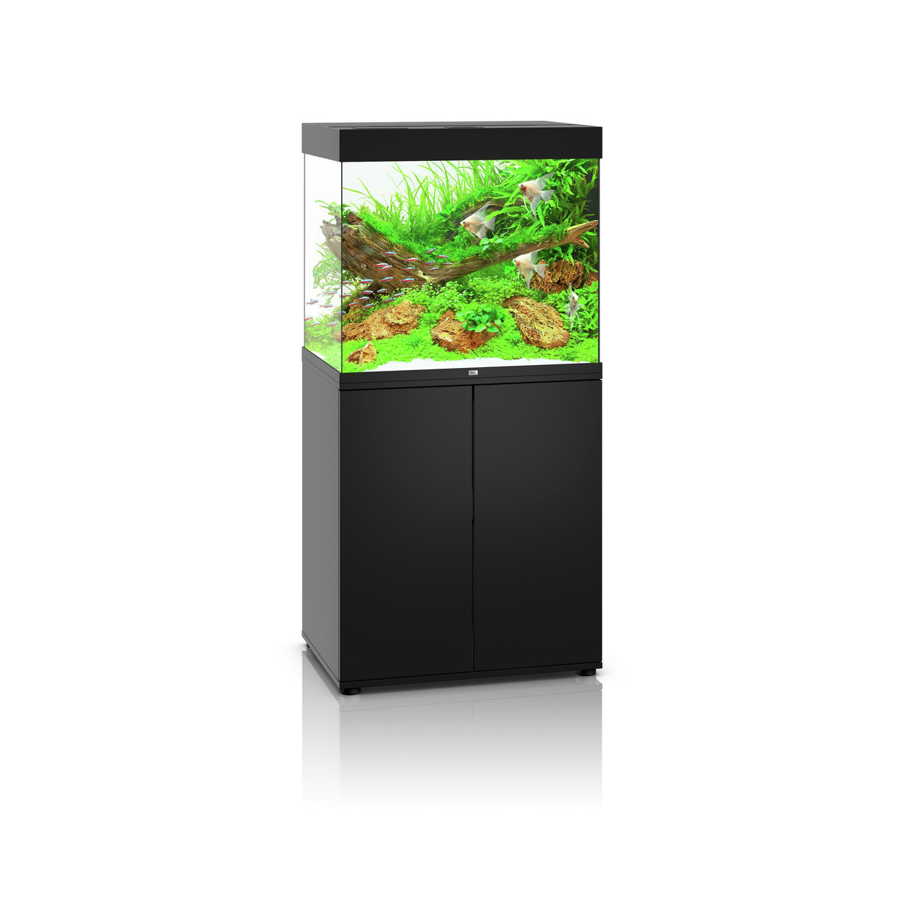 Aquarium Juwel Lido 120 mit Unterschrank 2024 / Weihnachtsgeschenk