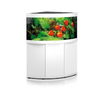 JUWEL Trigon 350 LED Aquarium mit Unterschrank