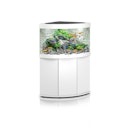 JUWEL Trigon 190 LED Aquarium mit Unterschrank