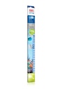 Vorschaubild JUWEL MultiLux LED Blue LED-Aquarienbeleuchtung