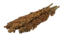 Vorschaubild JR FARM Dari-Kolben 100g Kleintiersnack