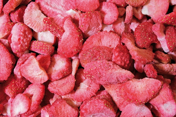 JR FARM Pure Erdbeeren 20g Kleintiersnack