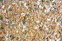 Vorschaubild JR FARM Birds Keimfutter Großsittich 1kg Vogelfutter