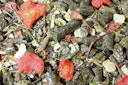 JR FARM Grainless Mix Meerschweinchen 650g Kleintierfutter